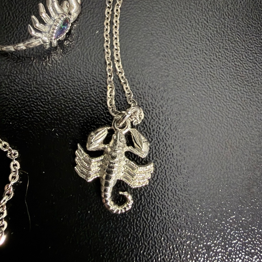 Silver Scorpion Pendant Necklace and Ring Set - Women Jewelry - Picture 2 of 4